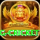 1st inning betting cricket Max Pro v3.2.9