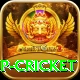 2022 world cup cricket Apps (Tools & Injectors) Master v1.0.2