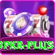 9pkr Plus v4.6.3
