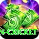 afghanistan cricket Plus Pro v3.2.8