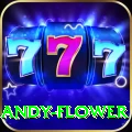 andy flower Elite v5.9.7
