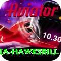 antigua hawksbill Plus v1.8.7