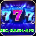bbl big bash apk Gold Edition v2.4.9