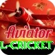 bbl cricket Premium Edition v3.5.6