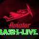 big bash live Plus Edition v4.3.8