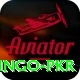 Bingo PKR Plus Pro v3.7.4