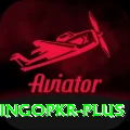 bingopkr Pro v4.3.8