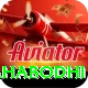 bodh gaya mahabodhi Max Pro v3.6.8