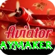 cam playmaker Premium Plus v5.9.8