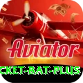 cricket bat Deluxe APK v3.3.7