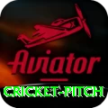 cricket pitch Ultimate v4.4.0
