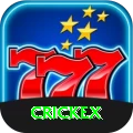 crickex Premium Plus vv1.9.6