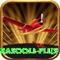darwish rasooli Casino Official v2.0.0