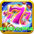 david gower Elite v2.9.2
