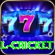 defending total cricket Pro v2.2.5