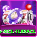 dhampus rice terrace Pro Edition v1.6.0