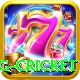 eng cricket Turbo Pro v4.6.1