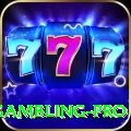 gambling Pakistan King v3.9.7