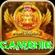 gautam gambhir Max Pro v1.4.1