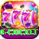 god of cricket Max v2.3.8