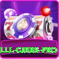 herschelle gibbs Bonus Max v4.0.5