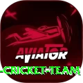 hong kong cricket team Pro1 v4.1.1