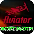 india bangladesh cricket match Turbo Pro v5.3.2