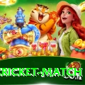 india cricket match VIP Edition v3.0.7