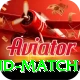 india new zealand match App