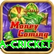 india sri lanka cricket Gold v4.6.3
