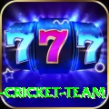 ireland cricket team Premium Plus v1.0.7