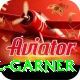 joel garner Pro v1.6.1