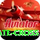 kate cross VIP Pro v4.2.1