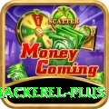 king mackerel Live Casino Elite