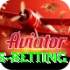 match highlights betting Premium Edition v2.4.6