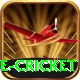 mobile cricket Max v4.6.7