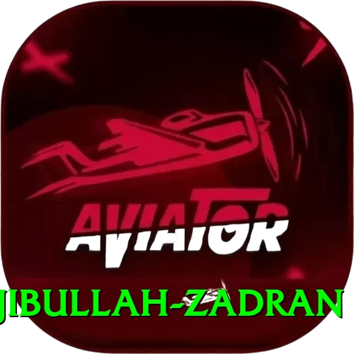 najibullah zadran Turbo v3.6.9 - 2