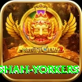 naseem shah yorkers Games (Casino & Earning) Elite v4.5.5