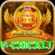ndtv cricket Gold v1.8.9