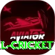 nepal cricket Pro1 v3.5.3