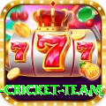new zealand cricket team Apps (Tools & Injectors) Master v2.6.1