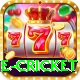 one cricket Master v3.5.4