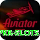 pkr slots Apps (Tools & Injectors) Premium v5.9.9