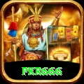 pkr666 Plus v2.8.5