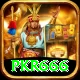 pkr666 Plus v2.8.5