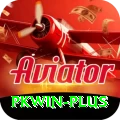 pkwin Deluxe Edition v3.6.4