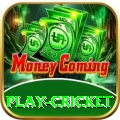 play cricket Master v1.2.4