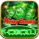 play cricket Master v1.2.4