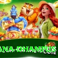 pothana dhampus Premium v2.4.2