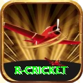 r cricket Pro